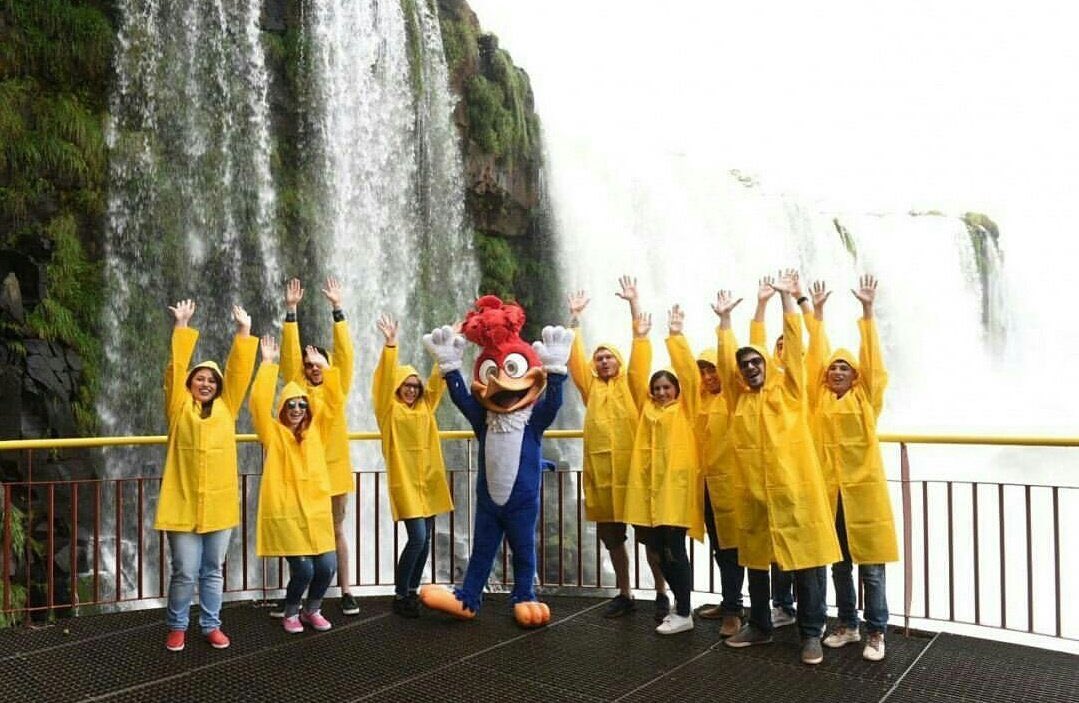 #TimBetaAjudaTimBeta #PicaPau