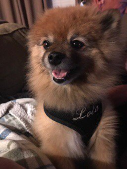 After a long day and you see this 💝