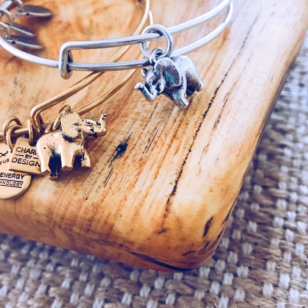 Retweet this for a chance to win an #Elephant bangle in support of <a href="/FoJFoundation/">Friends of Jaclyn</a>. Head to our <a href="/Snapchat/">Snapchat</a> for a chance to win more prizes! 🐘