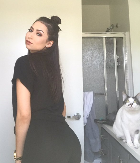 *purrs* https://t.co/O5pZ5MRIk4<a href="/tag/drooling"class="tags"><span>#drooling</span></a>