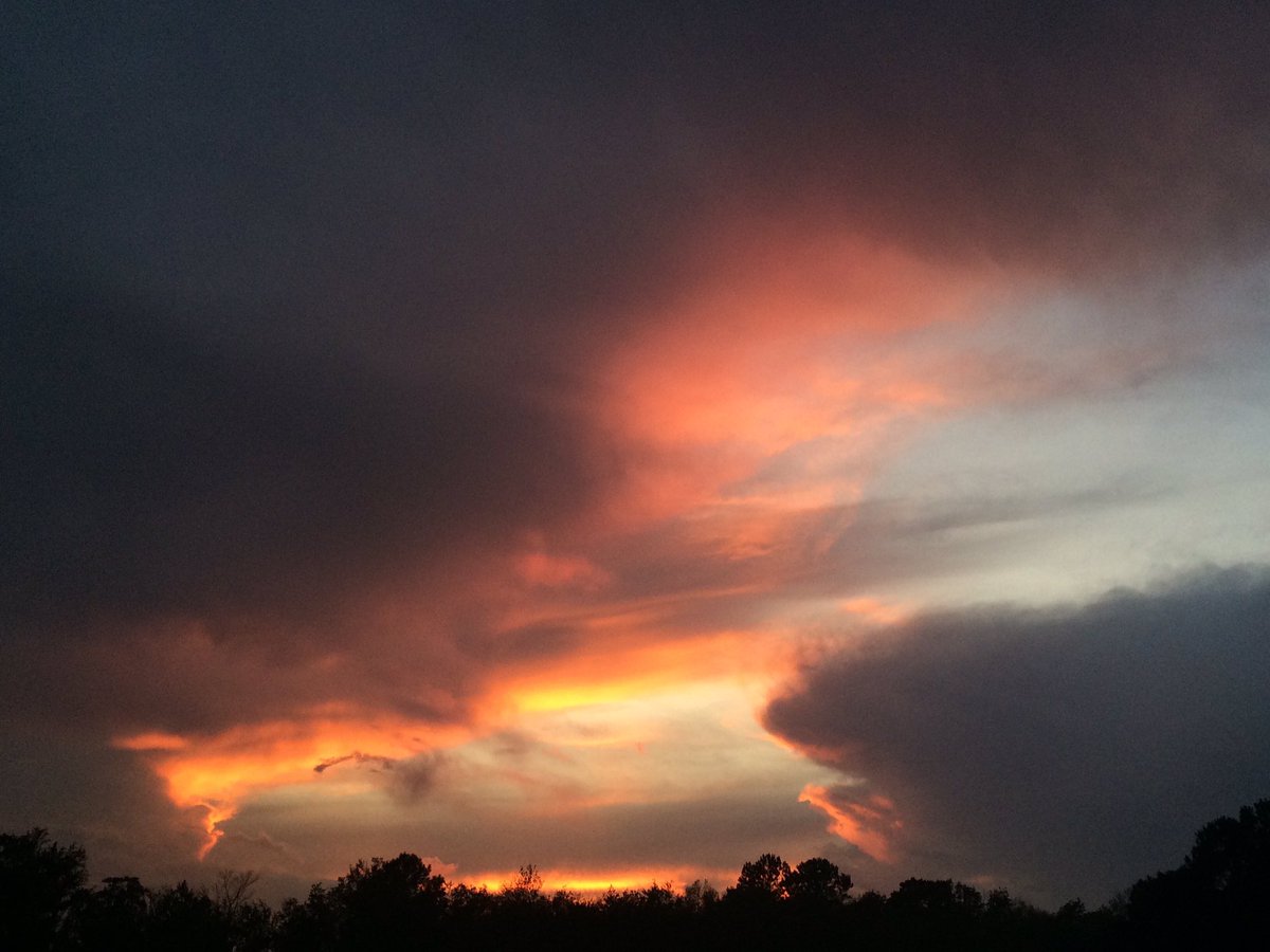 PowSpect's tweet image. South Georgia #sunset