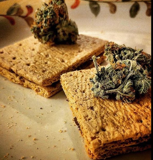 GramCrackers and weed 🏕