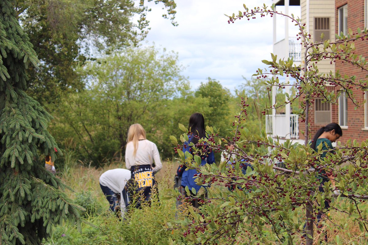 PL_interact's tweet image. 