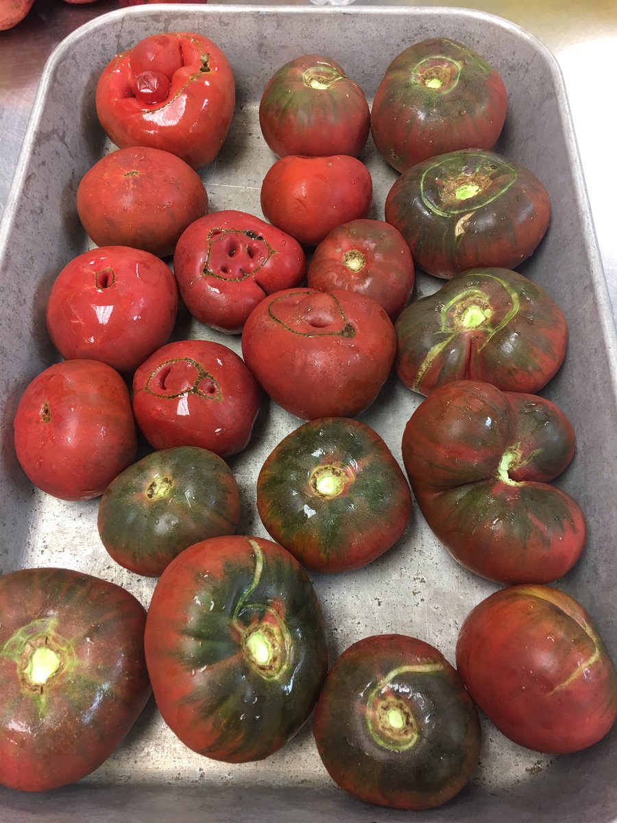 Yippee Fall is officially here. Time for some MRH homegrown apples 🍎and tomatoes🍅 😋                         #❤️seedtotable