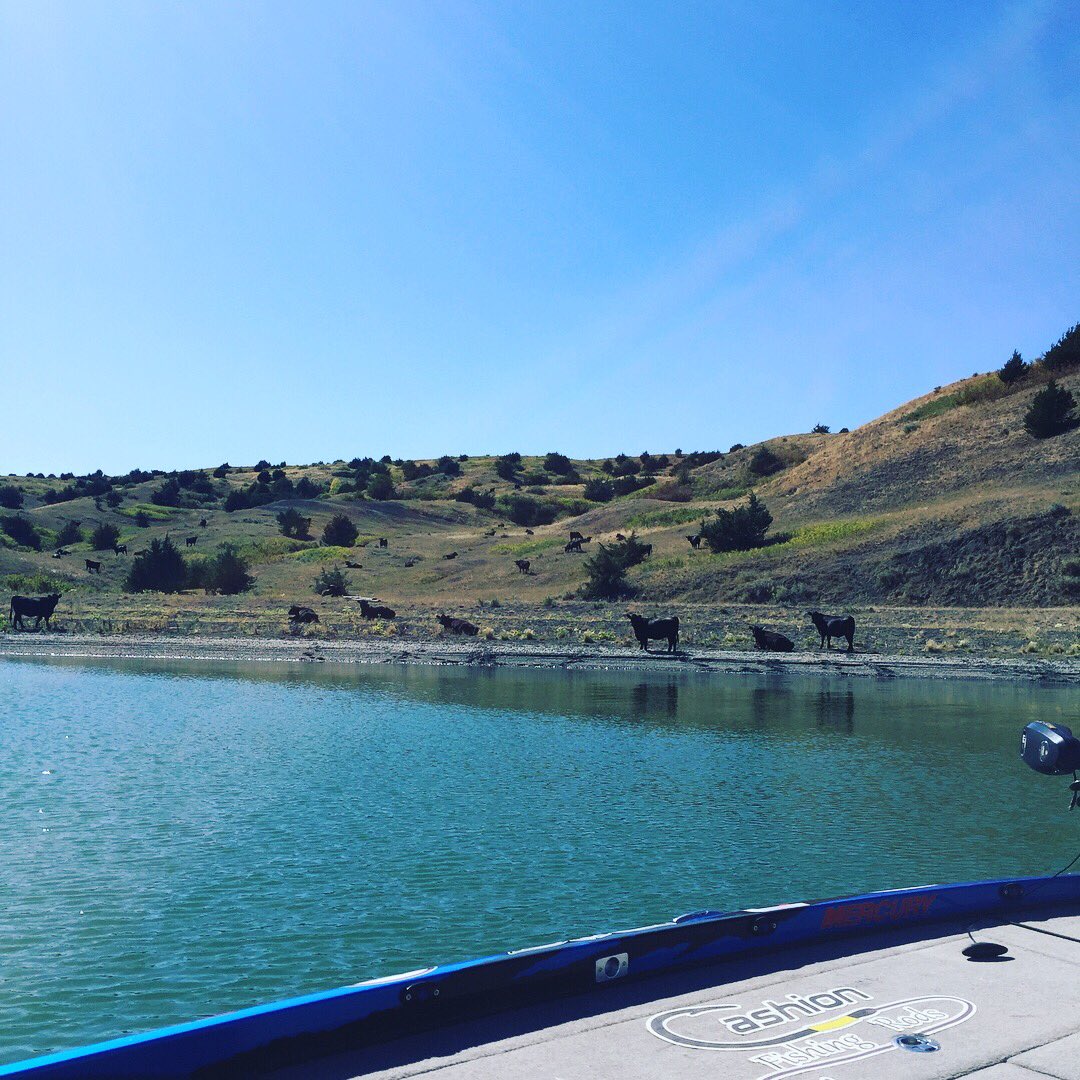 Lake Oahe. So windy! #jamiehartman #basselite #fishing