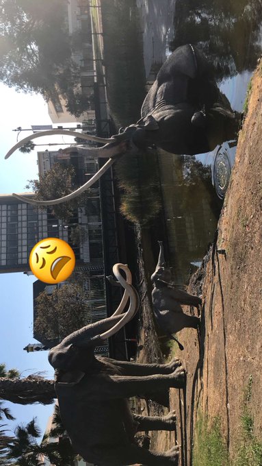 Finally went to the tar pits today!!! Idk why fossils interest me so much but it was fun 😋 https://t<a href="/tag/manyvids"class="tags"><span>#manyvids</span></a><a href="/tag/mvsales"class="tags"><span>#mvsales</span></a>