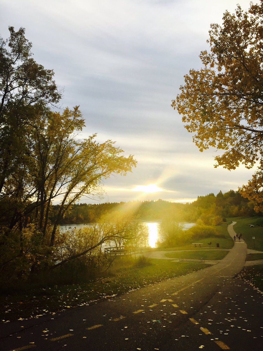 SimonaTantas's tweet photo. Made it back to my happy place ! 💕 #beautifulendtoabeautifulday #yeg #rivervalley #fallcolours https://t.co/mU23N4x7Pm