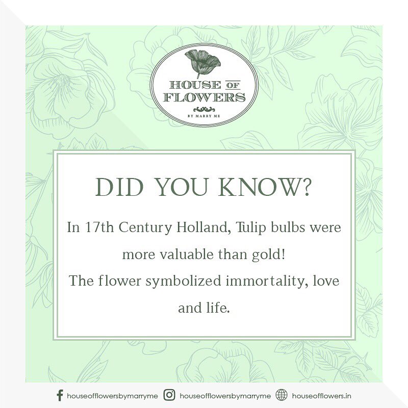 HOFbymarryme's tweet photo. Flower Trivia
#houseofflowersbymarryme #flowers #blooms #trivia #funfact #didyouknow #vsco #like4like #instagram https://t.co/E7ZGFTzi2t