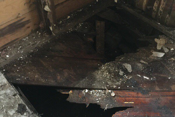 b_singleterry's tweet photo. Please support my GoFundMe campaign: https://t.co/mOlqvEkruJ @gofundme https://t.co/9fSQJ5aWPZ