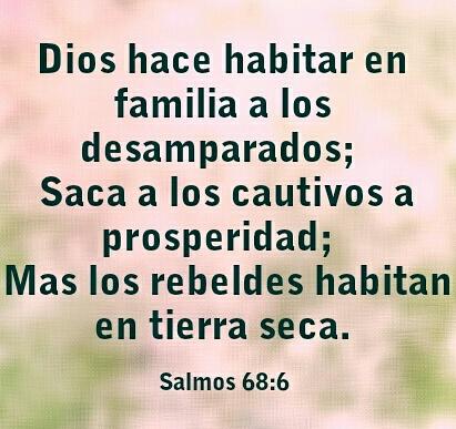 ItsPossible7's tweet photo. #Dios #Elohim #Habitar #Familia #Prosperidad #TierraSeca 
#Cree #CristoViene 💚

Twitter | @itspossible7 |
Instagram | @itspossible_7 | https://t.co/D3fKB6rdGQ