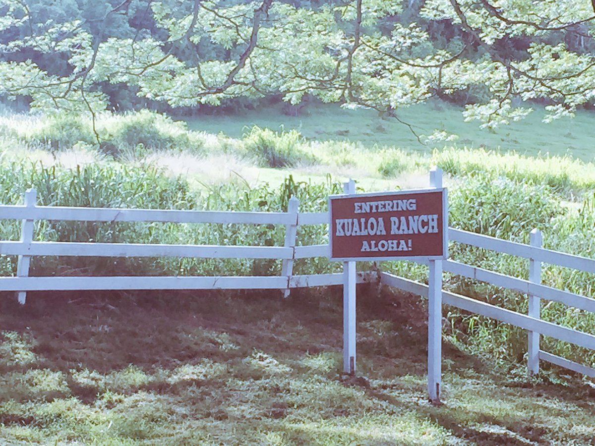 TravelwithPOwer's tweet photo. #kualoa #ranch #oahu #Hawaii #TheLostCon #LOST2017 https://t.co/MI7A5L1JkH
