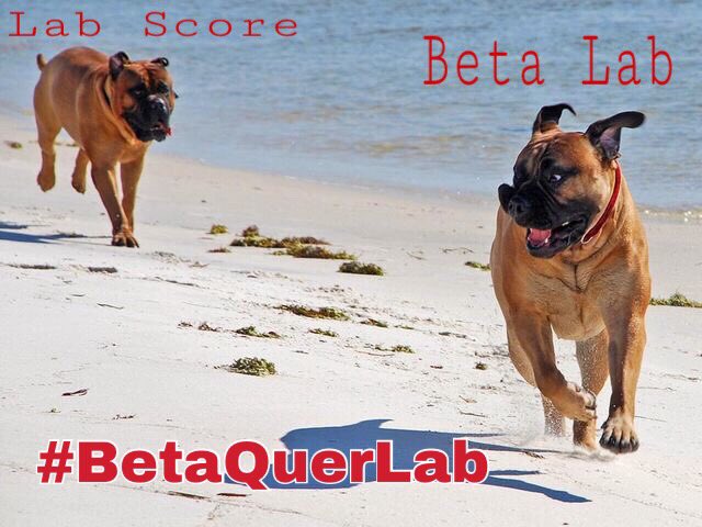 Mesmo sendo #BetaQuerLab não podemos parar, o Lab Score tá na cola! Bola pra frente Betas e vamos pontuar!! ✌️😊