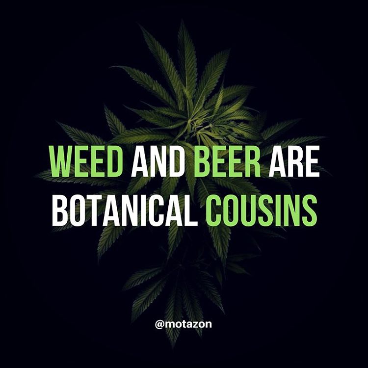 Learn About Weed tweet media