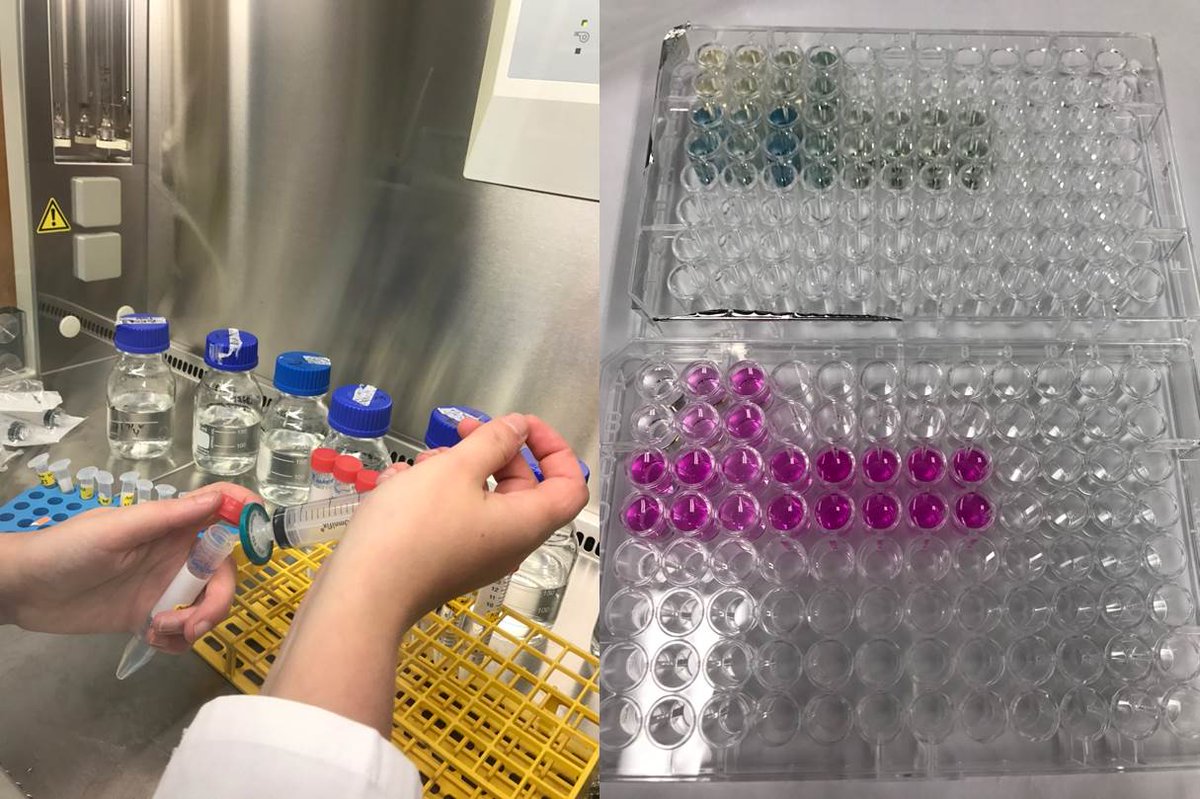 BiogeoMPIBremen's tweet photo. #BGCmax #scientist Hannah Marchant doing #culturework.
#isolates #marine #microbes #metabolism #favoritebug #Ncycle #Ccycle #labwork https://t.co/bUc0SuiN8n