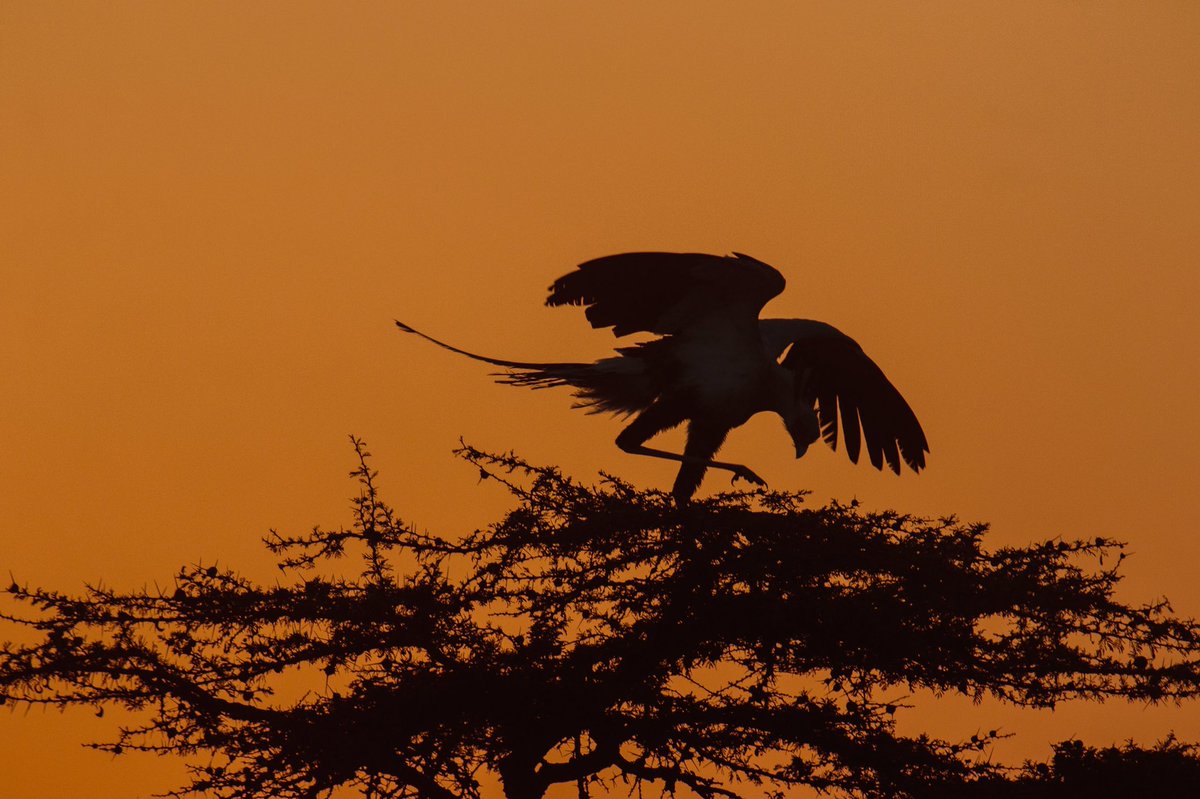 Happy #WTD2017!  Whenever you travel, wherever you travel, remember to respect nature and respect the local culture! <a href="/MagicalKenya/">Kenya Tourism Board</a>