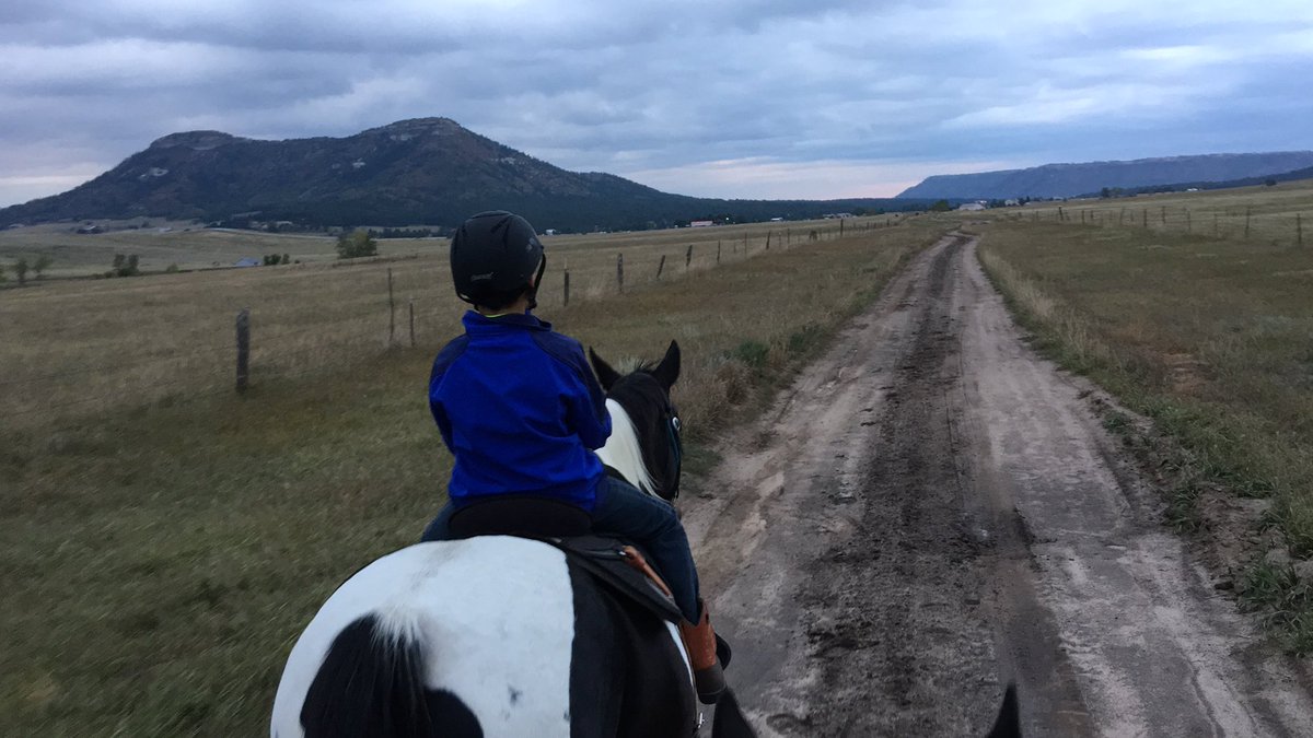 HoofBeatsCo's tweet photo. A beautiful fall evening for riding #hoofbeatstheatre #paintmare #ridinglessons #larkspurcolorado #fallfun #tuesdayfun https://t.co/FAK6W19NpF