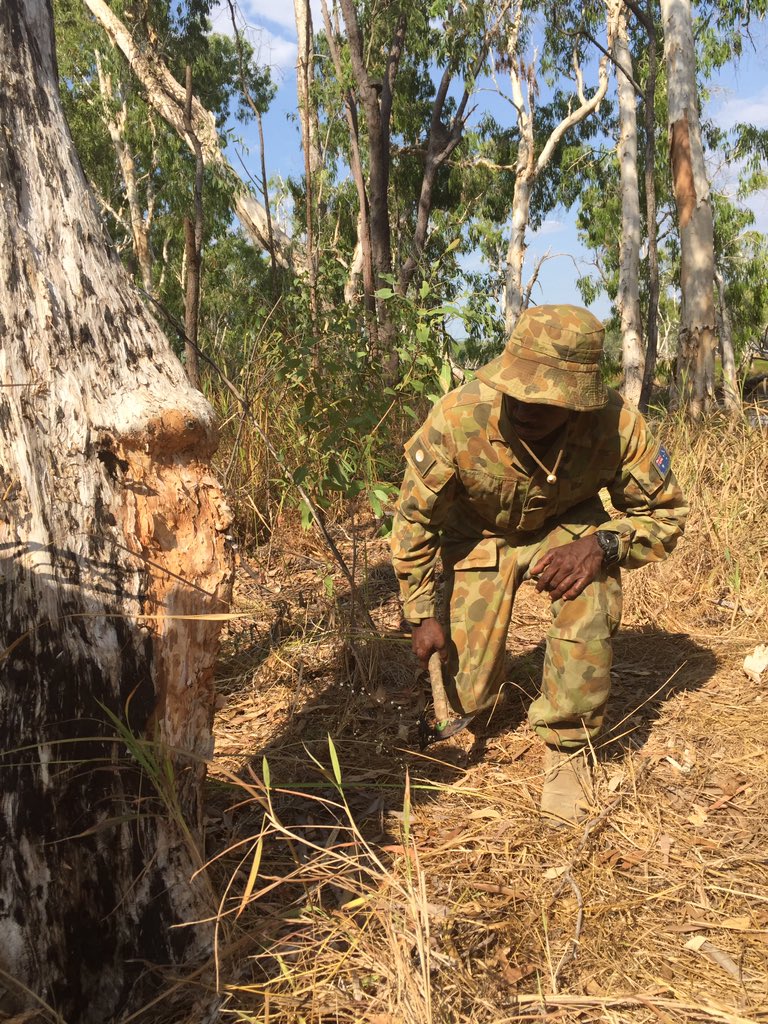 Mick O’Sullivan tweet media