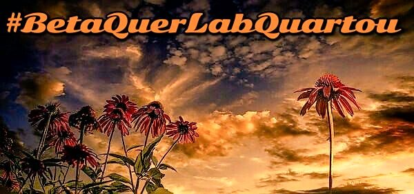 #BetaQuerLabQuartou
Você sente o que vê, eu vejo a luz fazendo dessa quarta-feira vésperas do nascimento de #BetaQuerLab mais forte e única