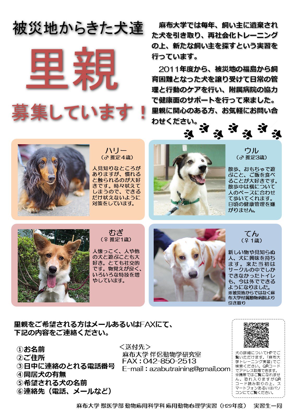 麻布大学 公式 در توییتر 本学 獣医学部 動物応用科学科３年次の動物応用心理学実習では 保護犬 を預かって伴侶動物としてふさわしくなるようにトレーニングし それぞれの犬にあった里親に譲渡しています 詳細はこちらのサイトをご覧ください T Co
