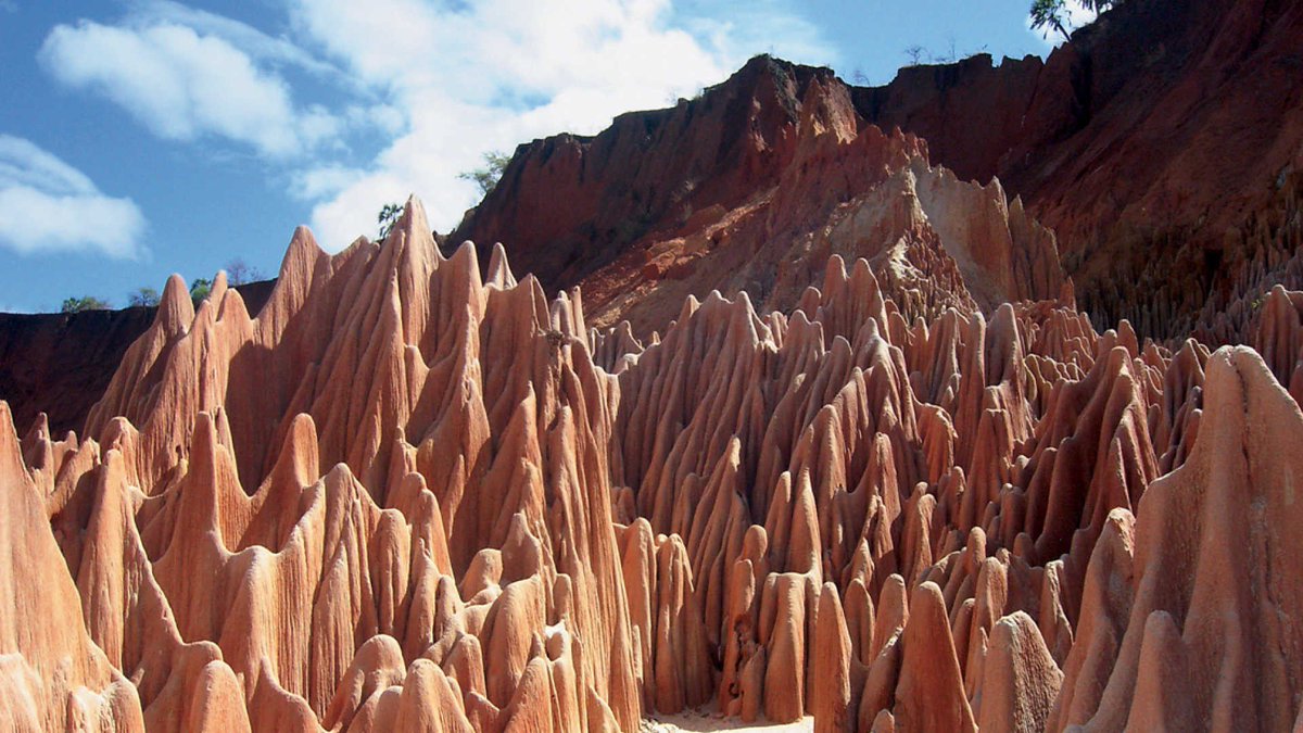 Madagascar261's tweet photo. 🇲🇬Get Back to Nature https://t.co/AmFILvuKje
📸🖼️@KuoniTravelUK #WorldTourismDay https://t.co/SW5CK2u8X1