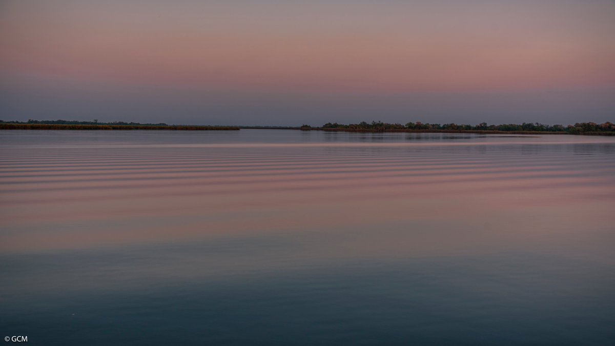 Heybigmac's tweet image. Early morning location scout, Okavango River, Botswana.  #mothershipafrica #location #filminginafrica