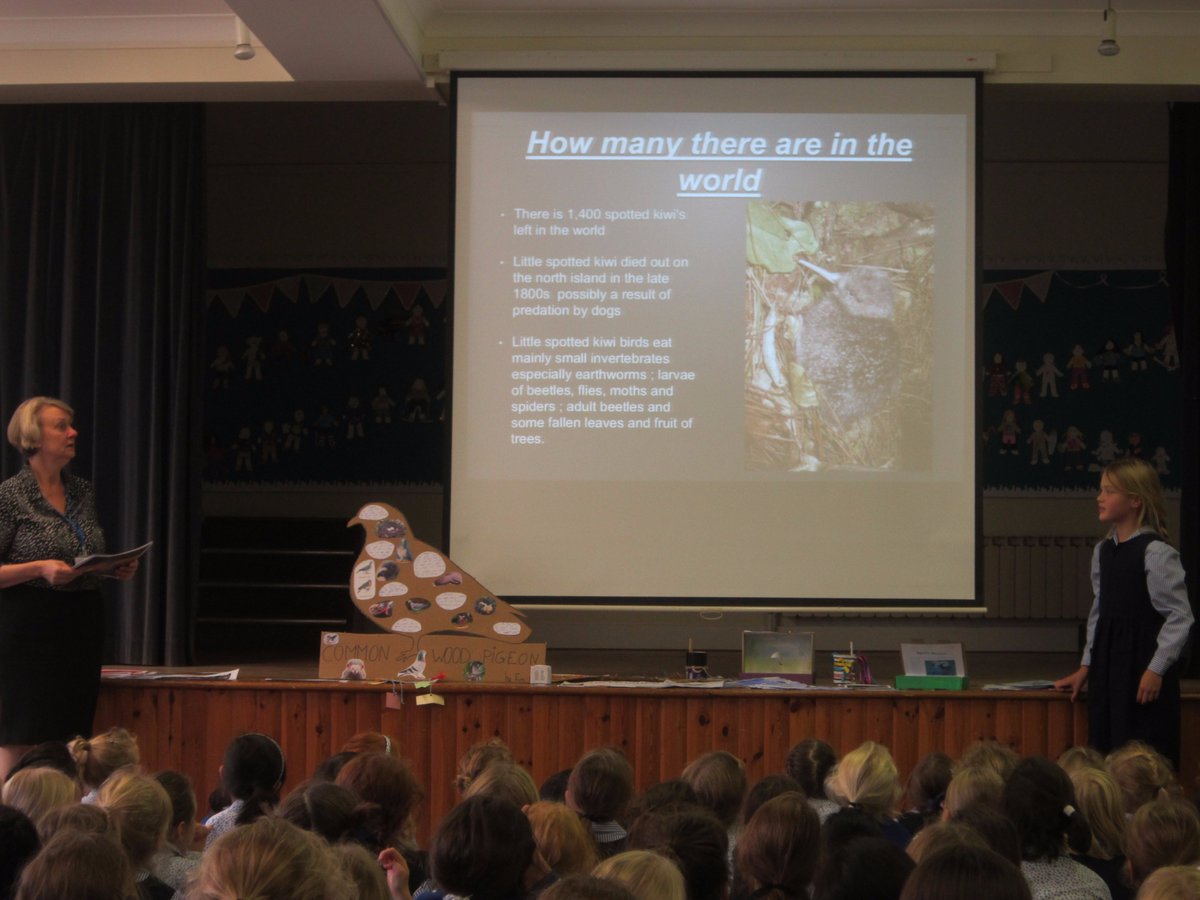 Going for third Green Flag on Monday, we can't wait.<a href="/EcoSchools/">Eco-Schools England</a>.  Bird research, making bird feeders and houses too.  Green Flag Tormead!