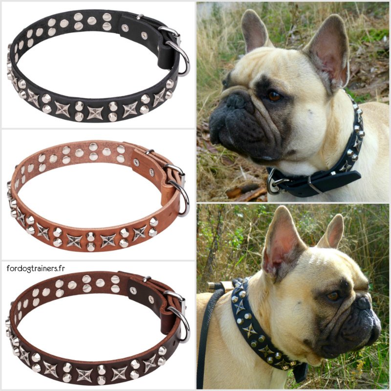 fordogtrainersf's tweet photo. #Collierdechien «Étoiles brillantes», Réf.: C128, en cuir 30 mm de large. 3 coloris et tailles de 45 à 90 cm https://t.co/qEjVjBQt7H https://t.co/nJWYcD0jsG