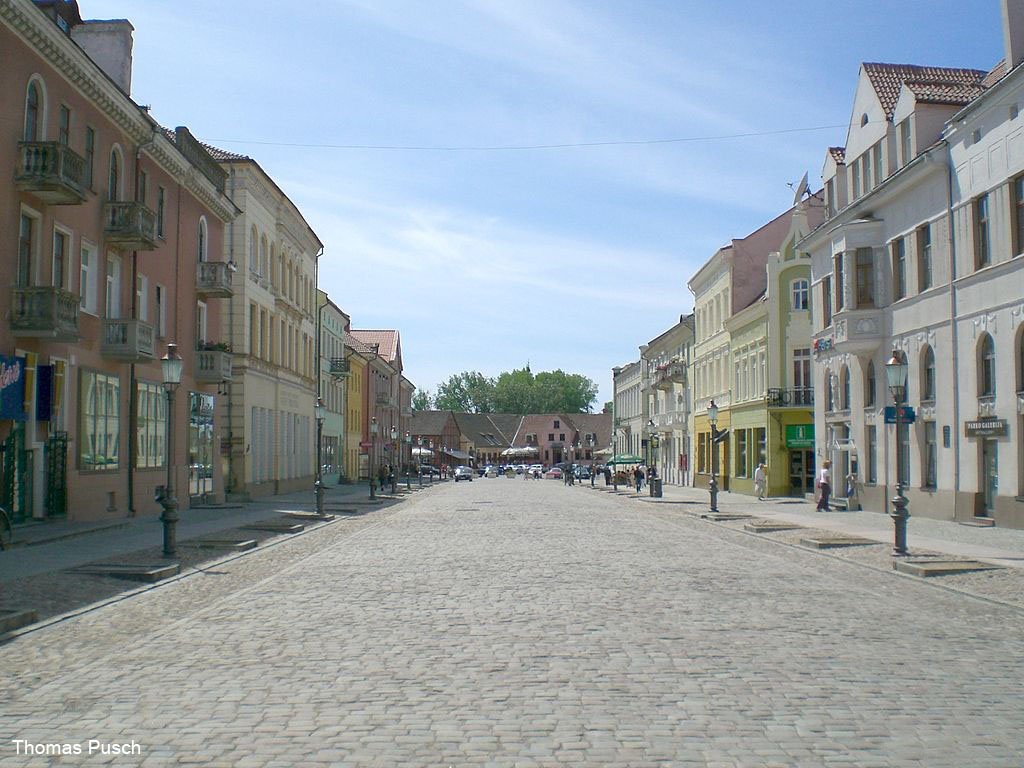 sylviablackcap's tweet photo. Checking in, still alive (although they usually don't start killing us until we reach the Mediterranean). Lithuania is nice! Look! https://t.co/t3ABExlSYs