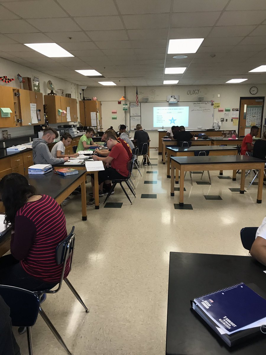 Stacey Lane tweet media