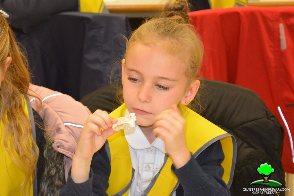 crabtreefarm's tweet photo. Whilst our Year Fours were @TescoBulwell they got to try different types of food Including; Pitta bread, Carrot Sticks, Prunes and Cucumber https://t.co/oTExuMKbSS