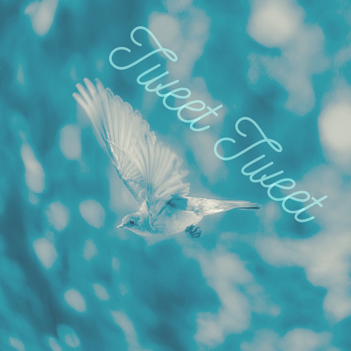 mlynndrivein's tweet photo. Need help with @Twitter? I can do that for you! #twitterVA #socialmedia #virtualassistant #smallbusiness #startup #betterbusiness https://t.co/EnOCJafqT8