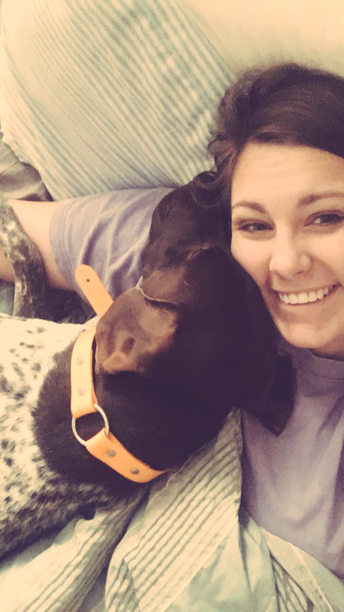 Val3ri3Mo's tweet photo. Like how am I supposed to get out of bed when I get this kinda live every morning❤️❤️❤️ #GSP #DogLove https://t.co/5msW5eeitT