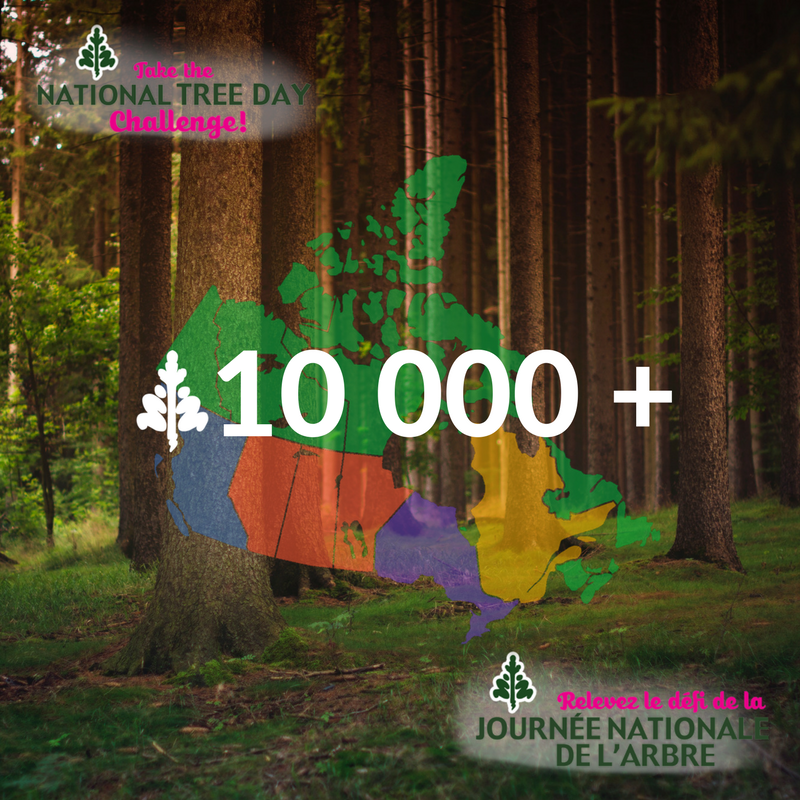 TreeCanada's tweet photo. We are proud to say that weβve officially surpassed our 10,000 tree goal for #NatTreeDay #NatTreeDayContest π³π https://t.co/AK24Y23OA7 https://t.co/nUwJBTWAR1