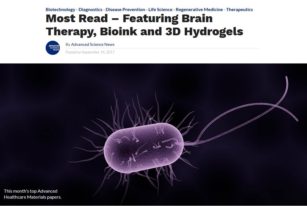 Immodgel Project tweet media