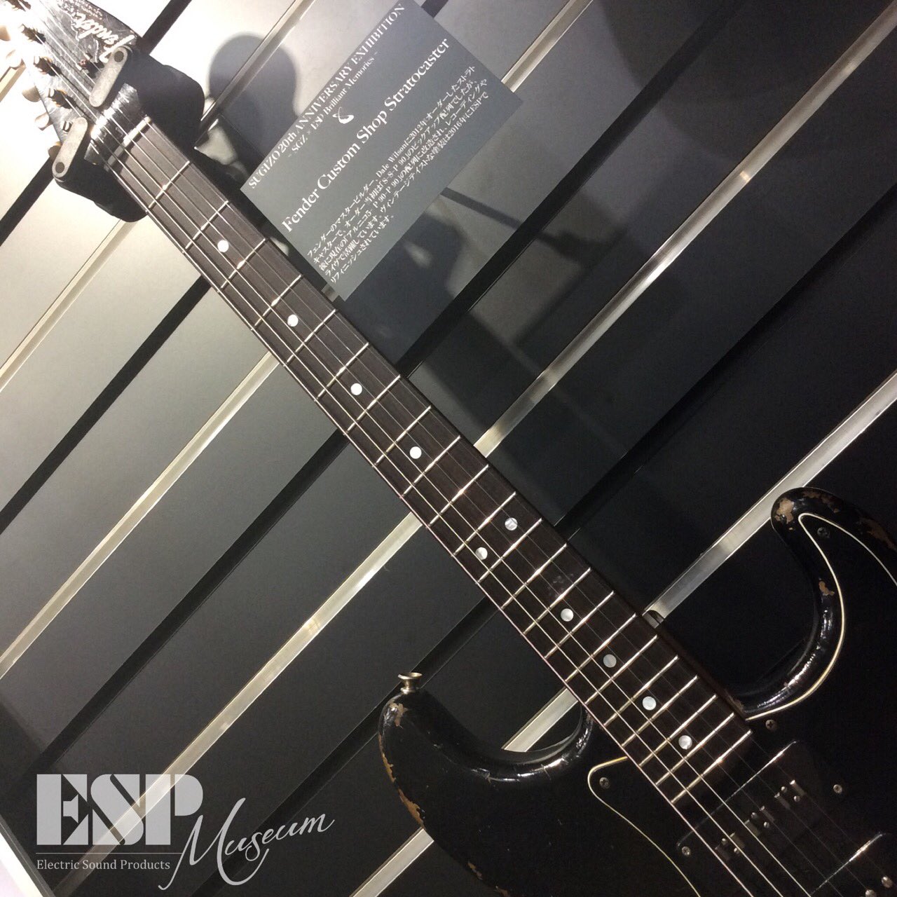 Fender STRATOCASTER SUGIZO