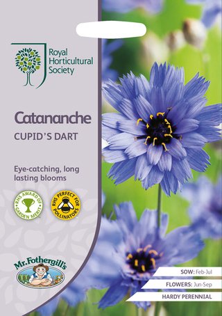 MandyCanUDigIt's tweet photo. NEW: @mrfothergill launches RHS Award of Garden Merit seed range. @The_RHS #gardening #fruit #veg https://t.co/jznn19sDra https://t.co/5WIPiWiCWH
