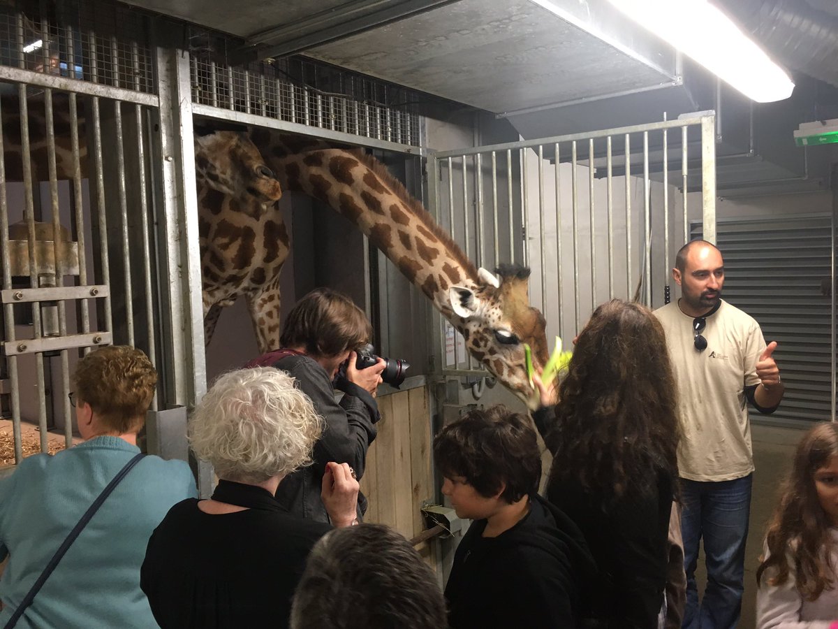 <a href="/WakouMag/">Wakou Magazine</a> au petit déjeuner des #Girafes du <a href="/zoodeparis/">Parc zoologique de Paris</a> ! Venez tentez l'expérience vous aussi #Zoodeparis #Inédit #Coulisses #Petitdejeuner