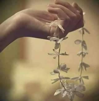 asira0anaa's tweet photo. قال :  قد يدمي الورد قاطفه 

قلت :  علمني الياسمين كيف يتمرد على السياج 
كي يدنو من عاشقه 🌼
#عطور_الاقلام 
#مدرسة_القيثارة 
#وطن_الابجدية https://t.co/Fl4zBqHm5N