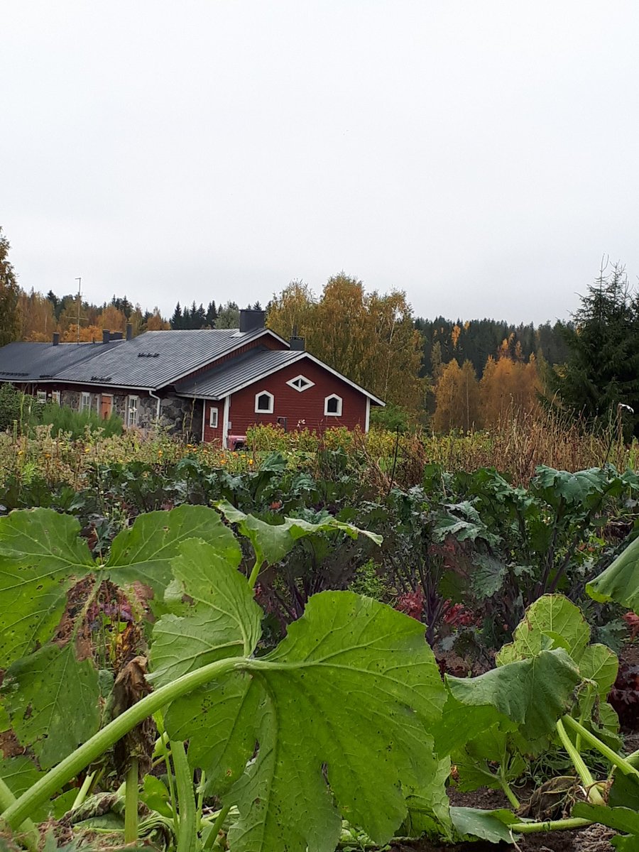 argone69's tweet photo. Merveilleux déjeuner au Tertti Manor à Mikkeli #hellomikkeli #Finlande @OurFinland #SlowFinland #Mikkeli #Finland https://t.co/lifZEMsW0t