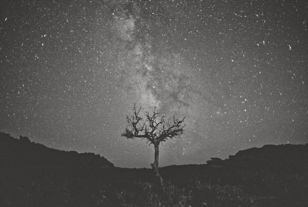katrinaleeford's tweet photo. Stunning imagery by @yiokoukoutso #Ikaria https://t.co/ERqOSDS14O