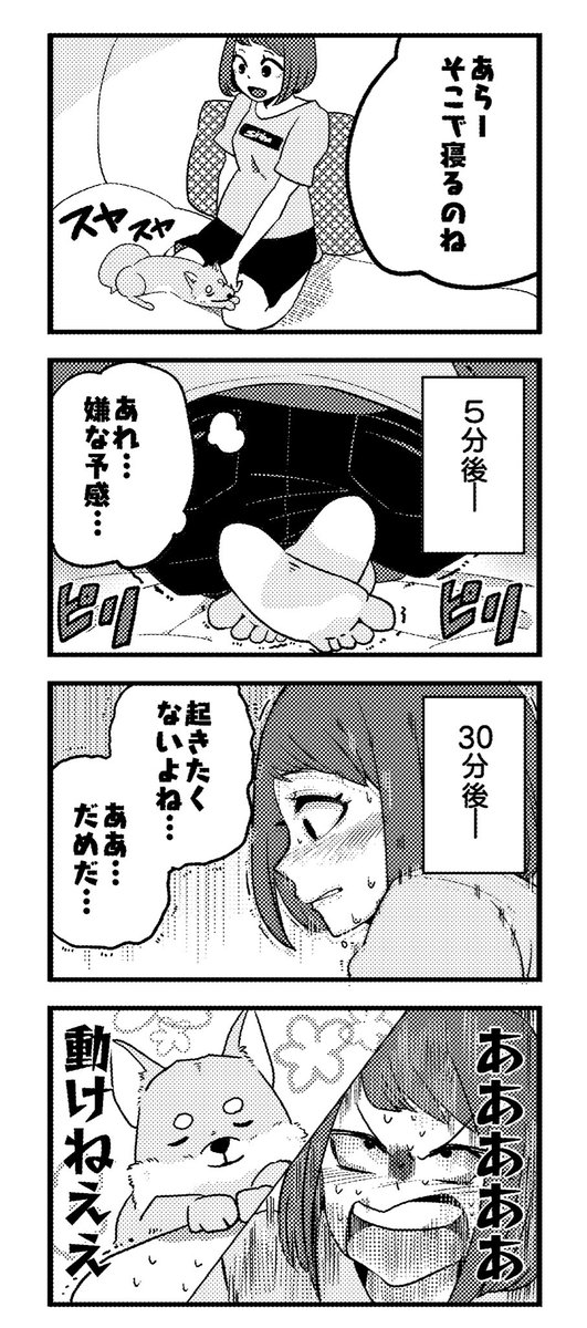 柴犬は正義!!!!!
 #柴犬との生活 