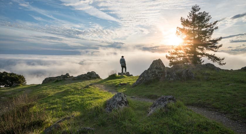 sheridanvoysey's tweet image. Life never seems to be a straight #path. It troubled me—until I noticed: lines in #nature aren’t straight, either. buff.ly/2xHEUiC