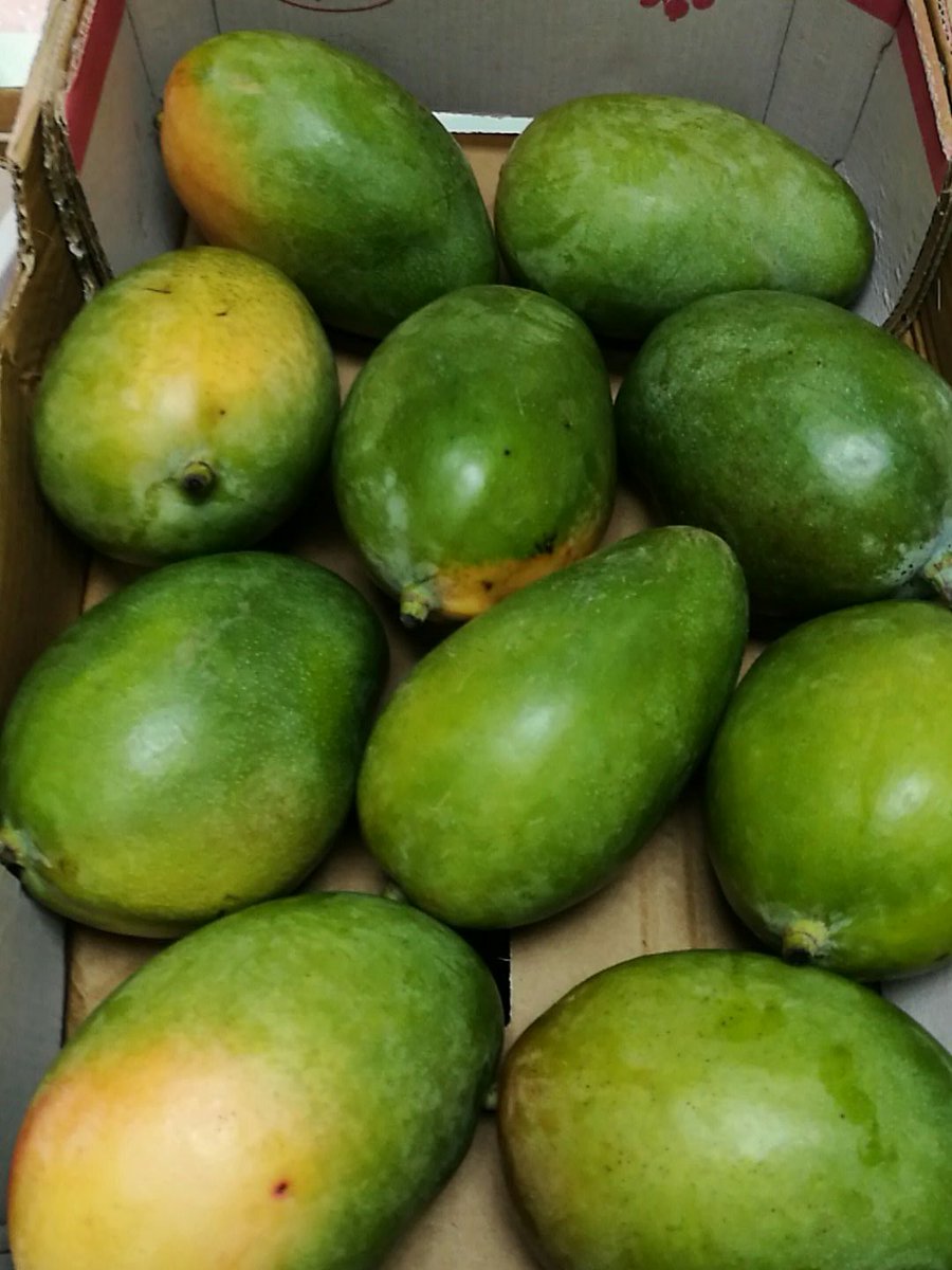 5adayFresh's tweet photo. #mangoes #yellowplums #redplums #yummy #sweet #freshfruit #healthysnack #vitamins #energy #eatyour5aday :-) https://t.co/HXA3Nhd0Sc