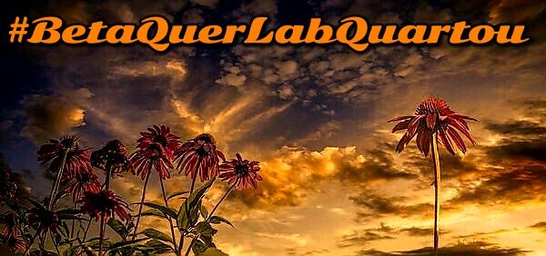 Sempre teremos uma nova chance  
E se tu grudar na TAG #BetaQuerLab 
aí meu amigo beta está chance e ainda melhor 🤗
#BetaQuerLabQuartou