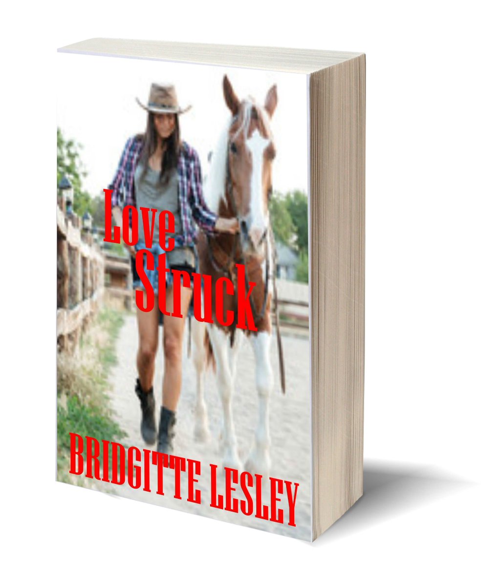 Pizzazz_Books's tweet photo. ★LOVE STRUCK★
✔https://t.co/UCC7i9pmJq
@BridgitteLesley https://t.co/qZi9bqGgt6 #ASMSG #bookboost #paperbackreader https://t.co/qHVPGiaN8s