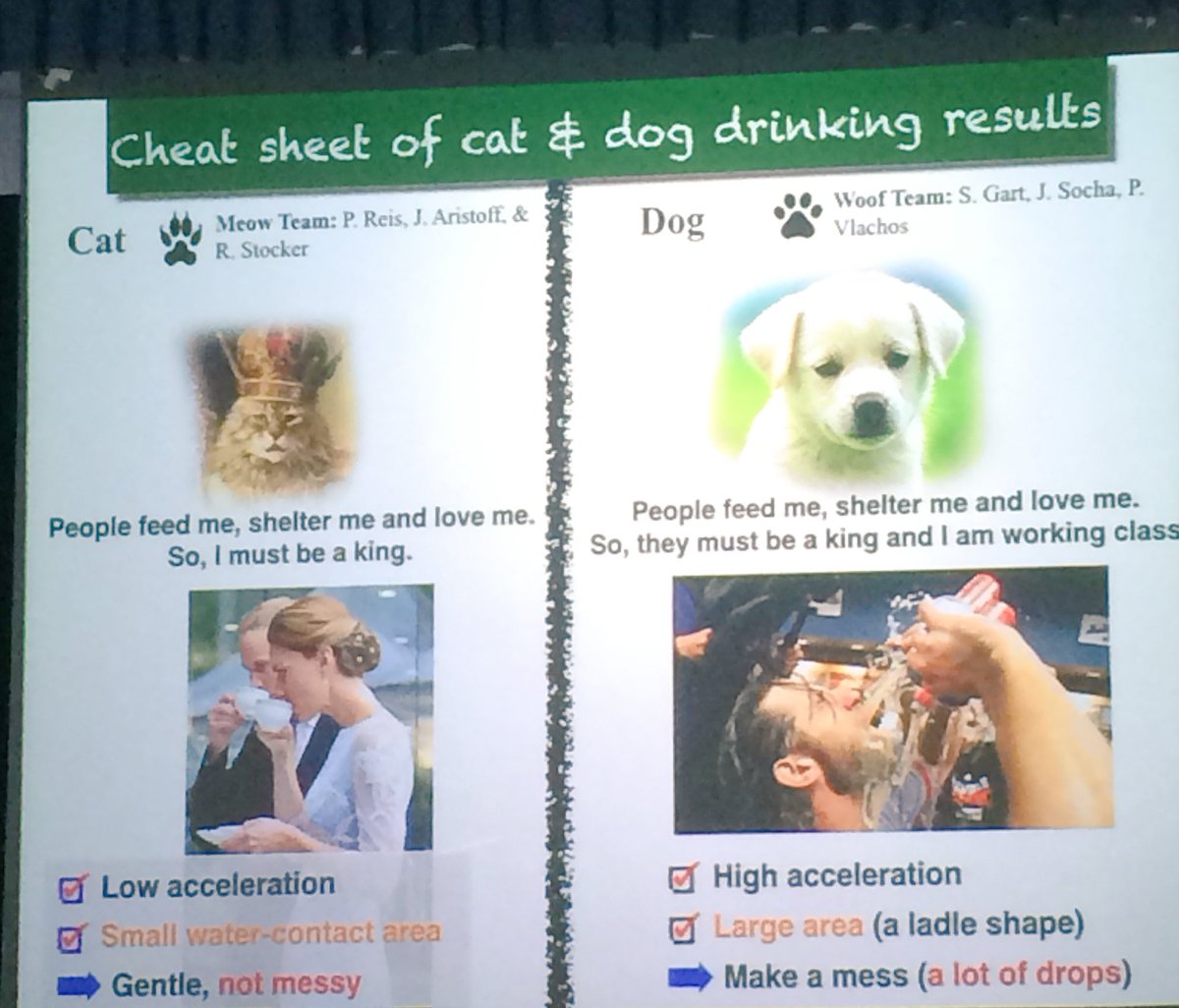 AlvaroGMarin's tweet photo. Sunny Jung on animal drinking compared to normal people XD #CMFluids17 https://t.co/mLVIaqvsNP