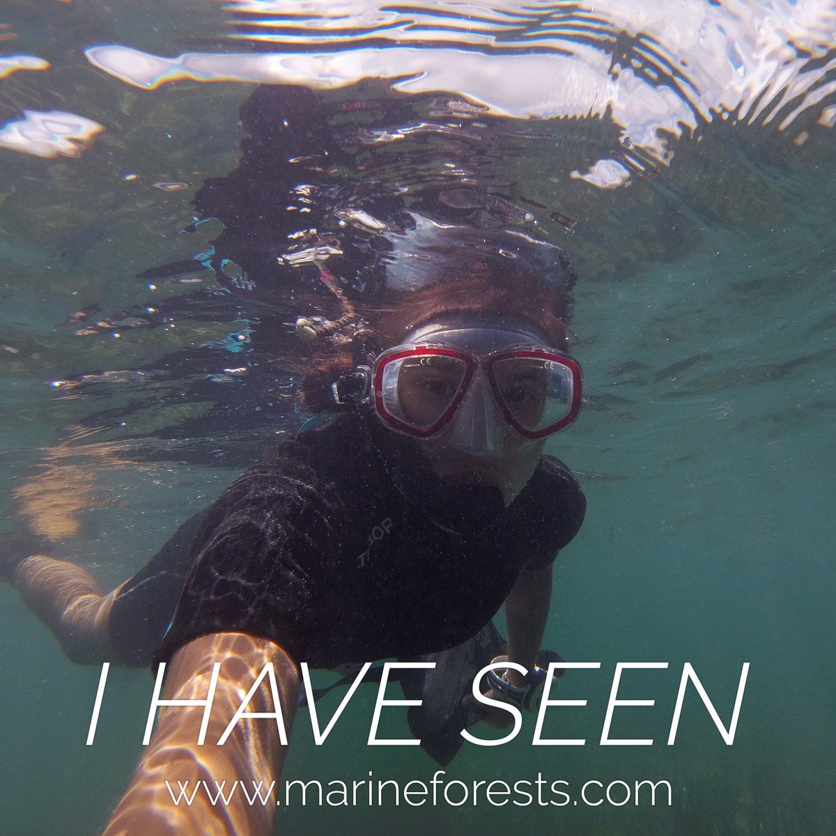 Great experience to study #marineforests in #solomonisland and #papuanewguinea. Next destination is #marovolagoon. Yaiza Bernaldo de Q.