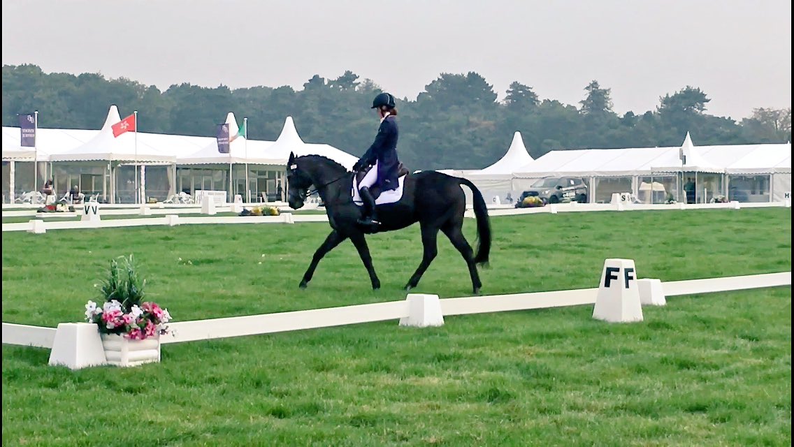 JC_Eventing's tweet photo. @bedeevents Osberton International - Trot up done✔️dressage done✔️#AuchlishieEventing #CarParkPony #cci1* @timothyfoxx @FairfaxFavor https://t.co/SnNO0lrm7u