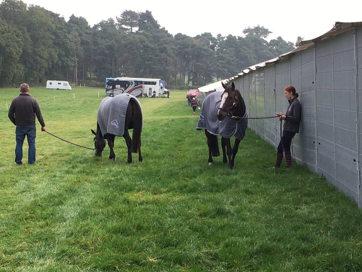JC_Eventing's tweet photo. @bedeevents Osberton International - Trot up done✔️dressage done✔️#AuchlishieEventing #CarParkPony #cci1* @timothyfoxx @FairfaxFavor https://t.co/SnNO0lrm7u