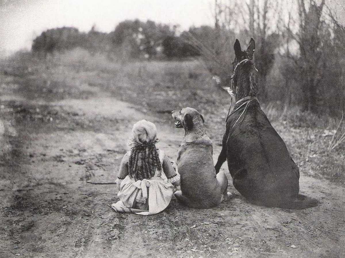 Courage....it's just Wednesday!!

Happy #humpday everyone😄

🐾🐴🙆‍♀️🐶🐾

(via persbaglio.wordpress.com)